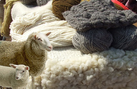 ,, Programul de susținere a crescătorilor de ovine pentru comercializarea lânii ,,