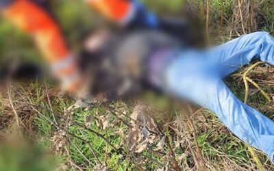 Un tânăr de 31 de ani din Cornești, a fost găsit spânzurat la o stână din localitatea Lișmănița