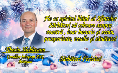 Consilierul Județean Tiberiu Nichiteanu vă urează Sărbători Fericite