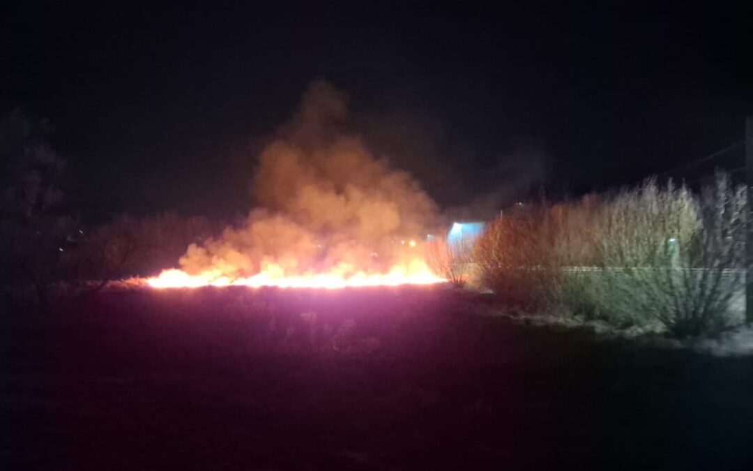 Incendii de vegetație uscată: Pompierii intervin pentru stingerea focarelor