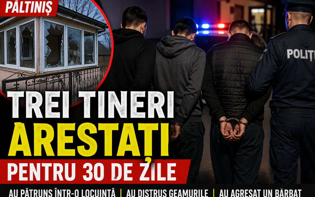 Trei tineri arestați după ce au atacat un bărbat în propria locuință, în Păltiniș